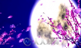 月夜视频,探寻神秘月色下的奇幻世界