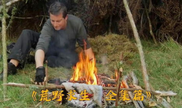 野外求生视频,跟随视频探索生存技巧与生存智慧