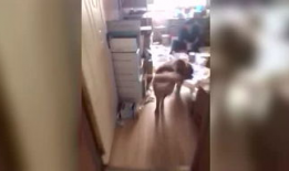 污视频免费下载,揭秘免费下载污视频的陷阱与风险