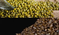 绿豆视频,揭秘绿色生活新风尚