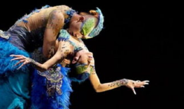 杨丽萍孔雀舞蹈视频,杨丽萍演绎经典舞蹈艺术