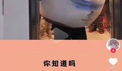 怎么把别人的视频变成自己的,轻松将他人视频转化为个人原创内容