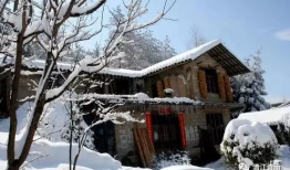 我的家乡下雪了,冬日里的别样风情”