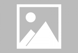 a免费视频在线观看