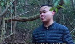 野外求生视频,跟随视频探索生存技巧与生存智慧