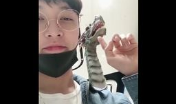 国产福利小视频,展现中国创意与温情瞬间