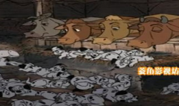 女人和动物交配视频,揭秘人类与动物交配的禁忌真相