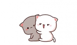 可爱不可爱,谁才是真正的萌宠之王？