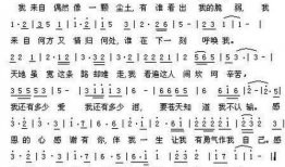 歌曲感恩的心视频,传递爱与温暖的旋律之旅