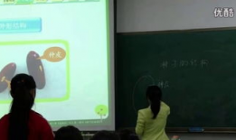 观察种子的结构实验视频,结构实验视频深度解析