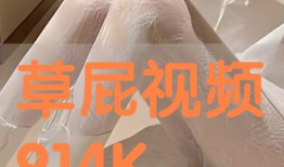 操屁视频,操屁视频背后的文化现象与反思