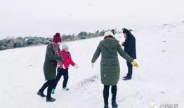 我的家乡下雪了,冬日里的别样风情”