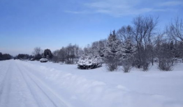 我的家乡下雪了,冬日里的别样风情”
