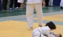 柔道视频,从视频中汲取的力量与智慧