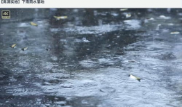 雨天视频,捕捉城市雨景的瞬间魅力