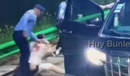 日本五十路视频,揭秘日本独特文化魅力