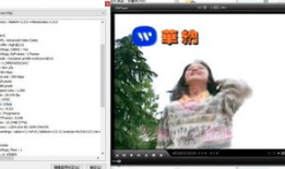 福利视频你懂的,你懂的真相大公开